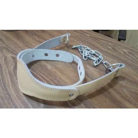 Head Harness