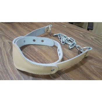 Head Harness